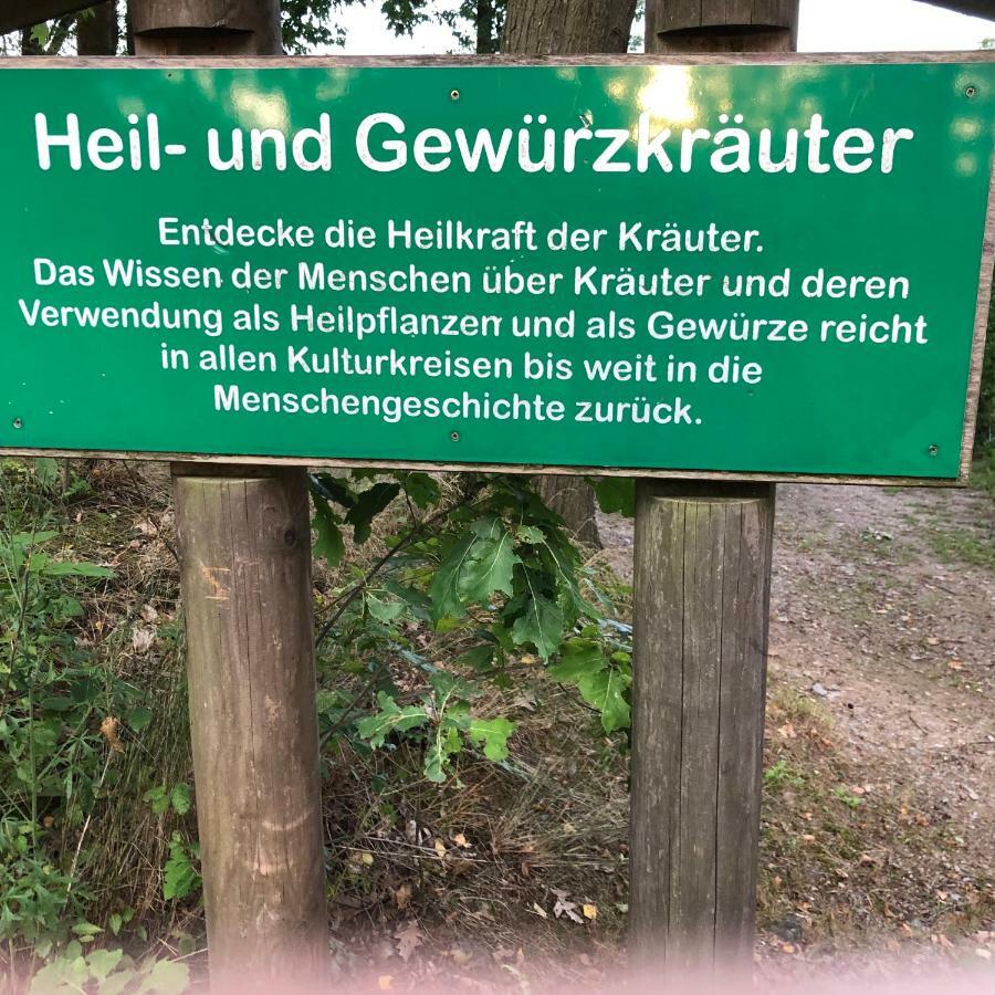 Apartmentanlage Am Kellerberg Zandt Bagian luar foto